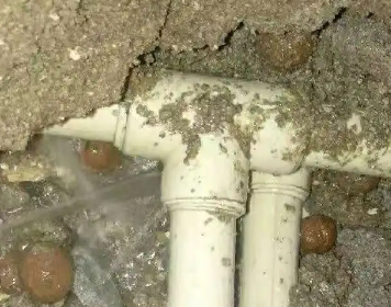 武功测漏水多少钱