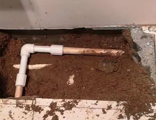 武功测漏水哪家好