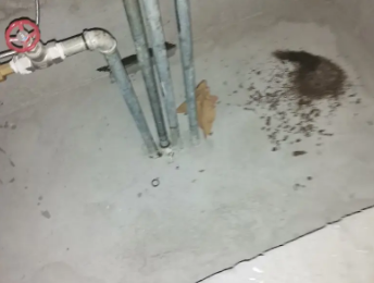 武功卫生间测漏水价格明细