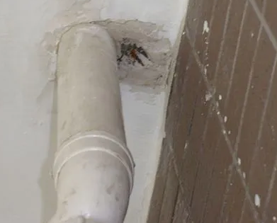 武功漏水检测哪家好